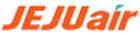 airline logotype