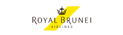 airline logotype