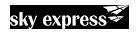 airline logotype